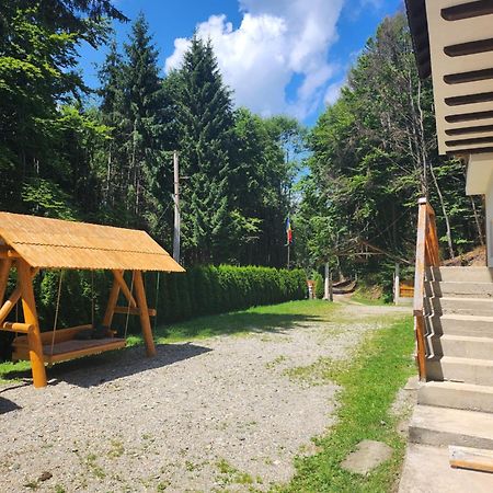 Cabana Valea Bradului Nucşoara Extérieur photo