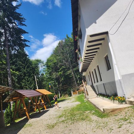 Cabana Valea Bradului Nucşoara Extérieur photo