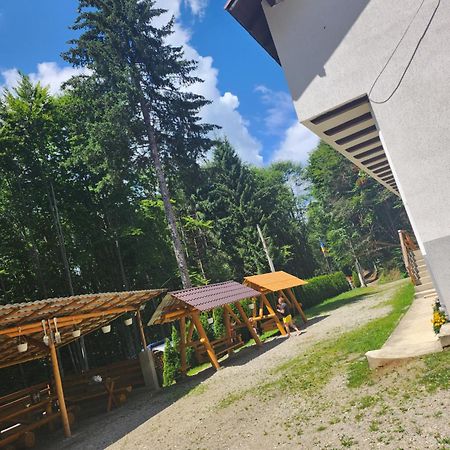 Cabana Valea Bradului Nucşoara Extérieur photo