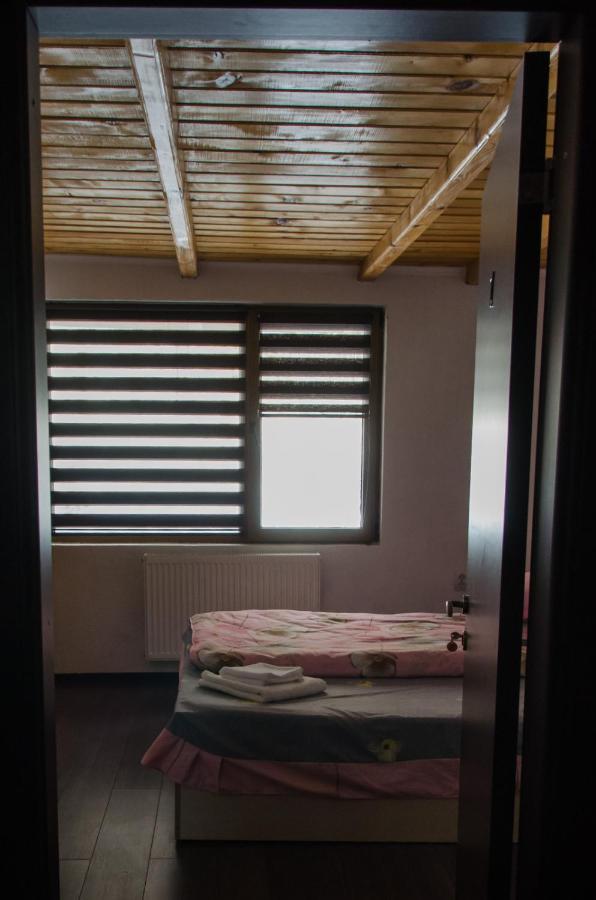 Cabana Valea Bradului Nucşoara Extérieur photo