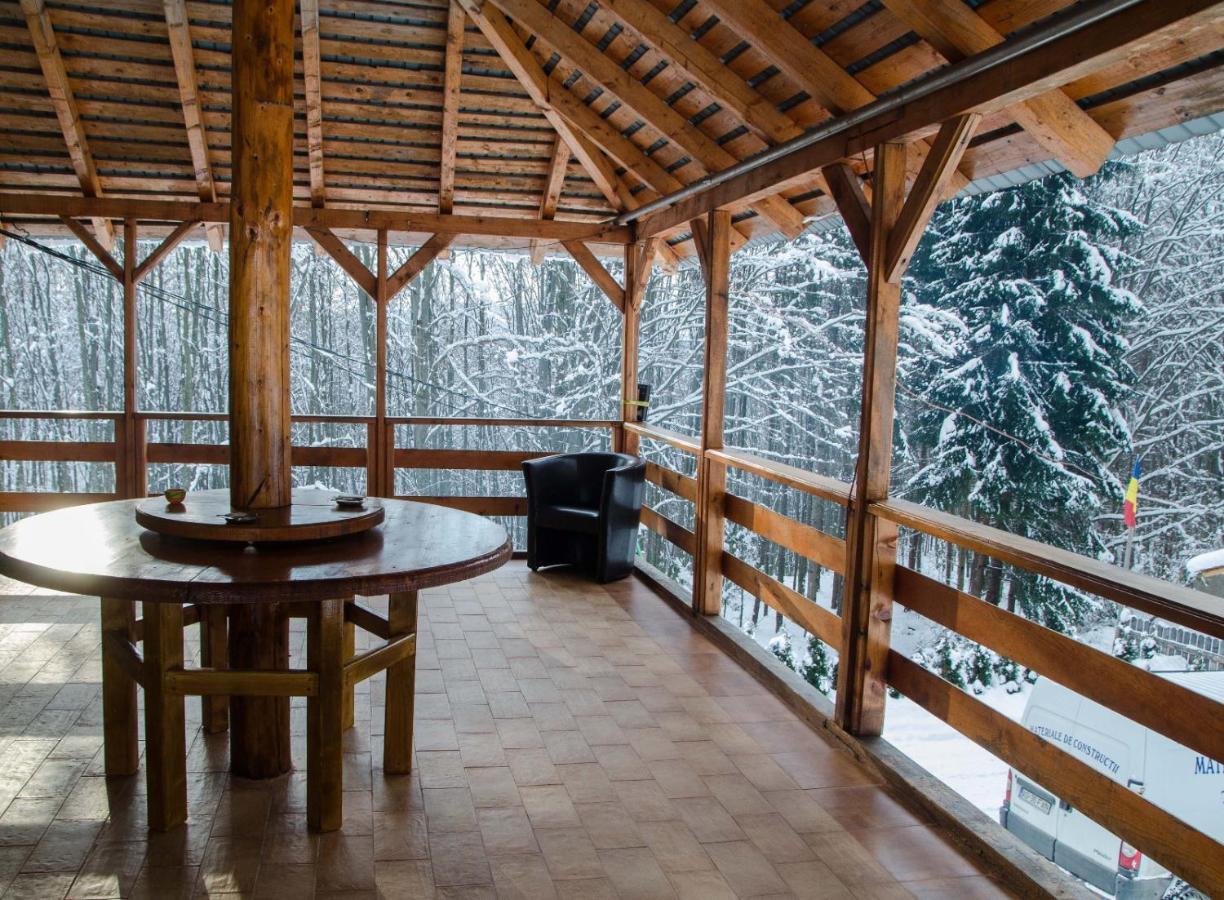 Cabana Valea Bradului Nucşoara Extérieur photo
