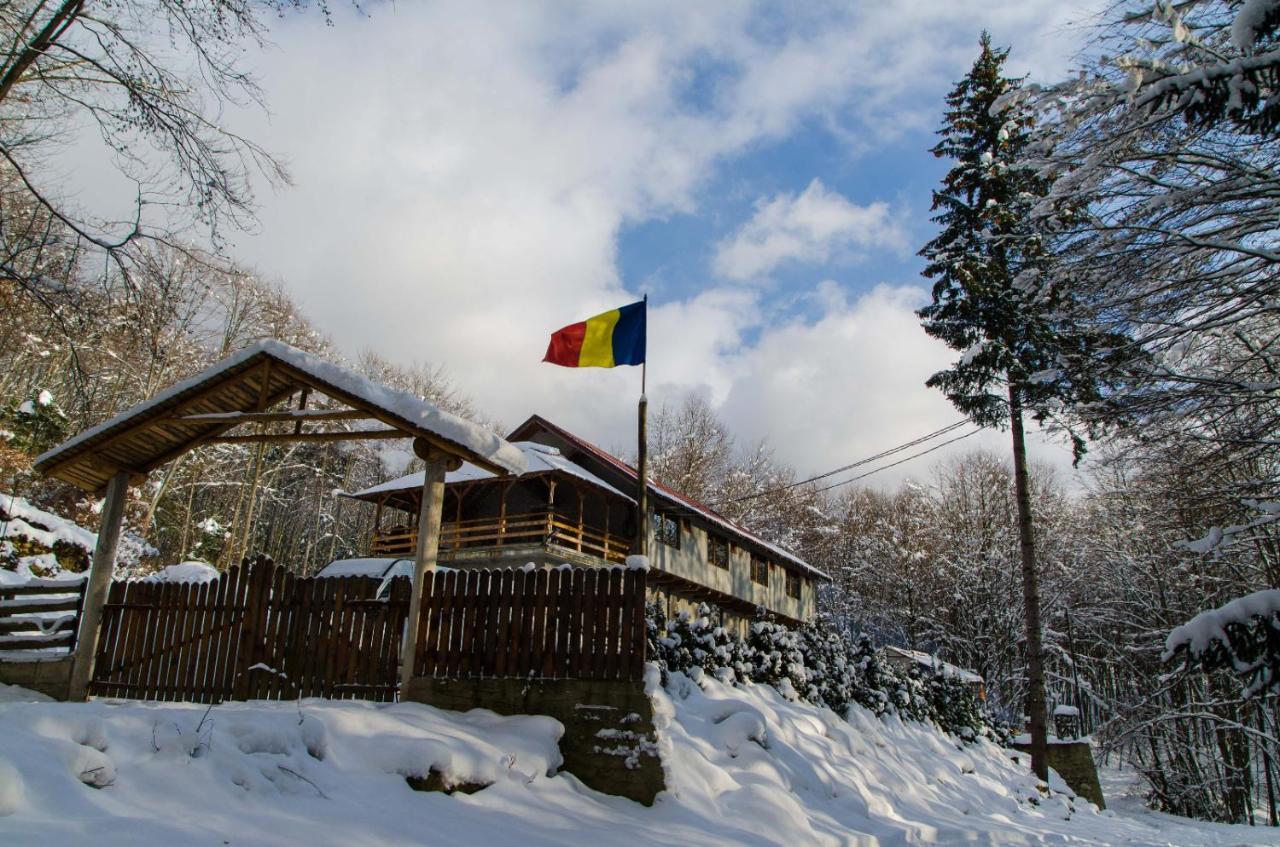 Cabana Valea Bradului Nucşoara Extérieur photo