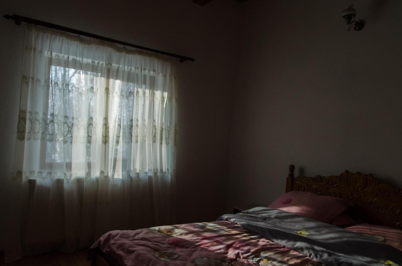 Cabana Valea Bradului Nucşoara Extérieur photo