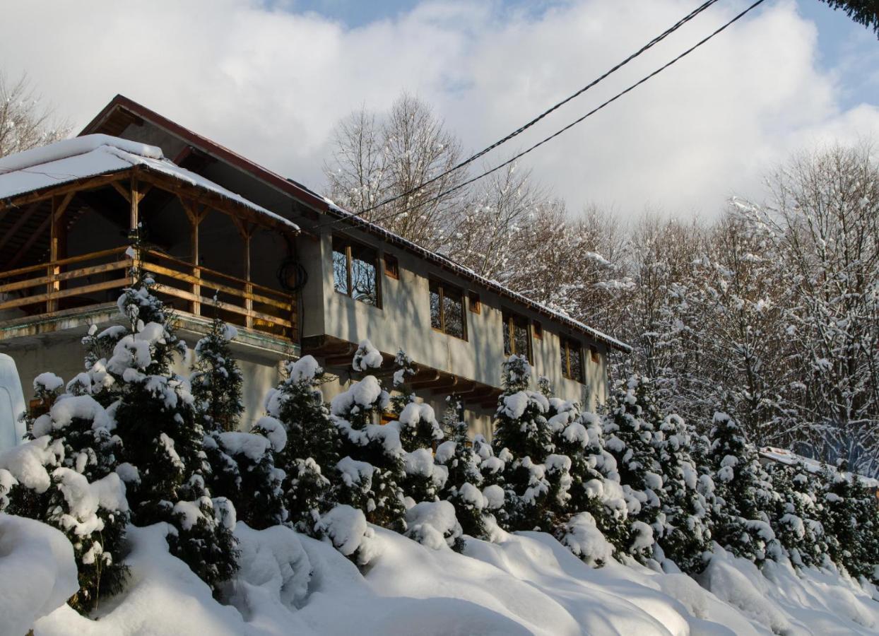 Cabana Valea Bradului Nucşoara Extérieur photo