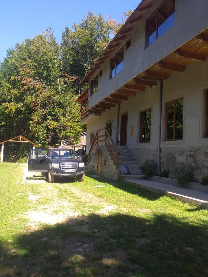Cabana Valea Bradului Nucşoara Extérieur photo
