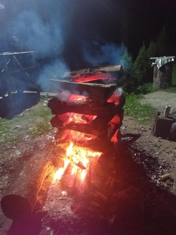 Cabana Valea Bradului Nucşoara Extérieur photo