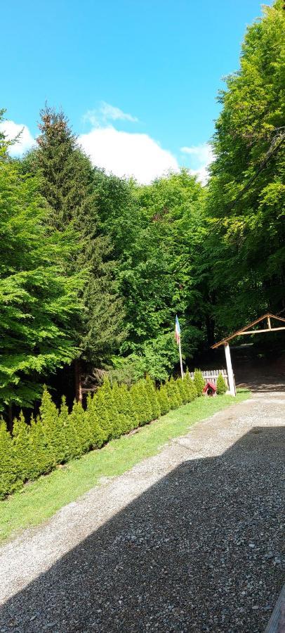 Cabana Valea Bradului Nucşoara Extérieur photo