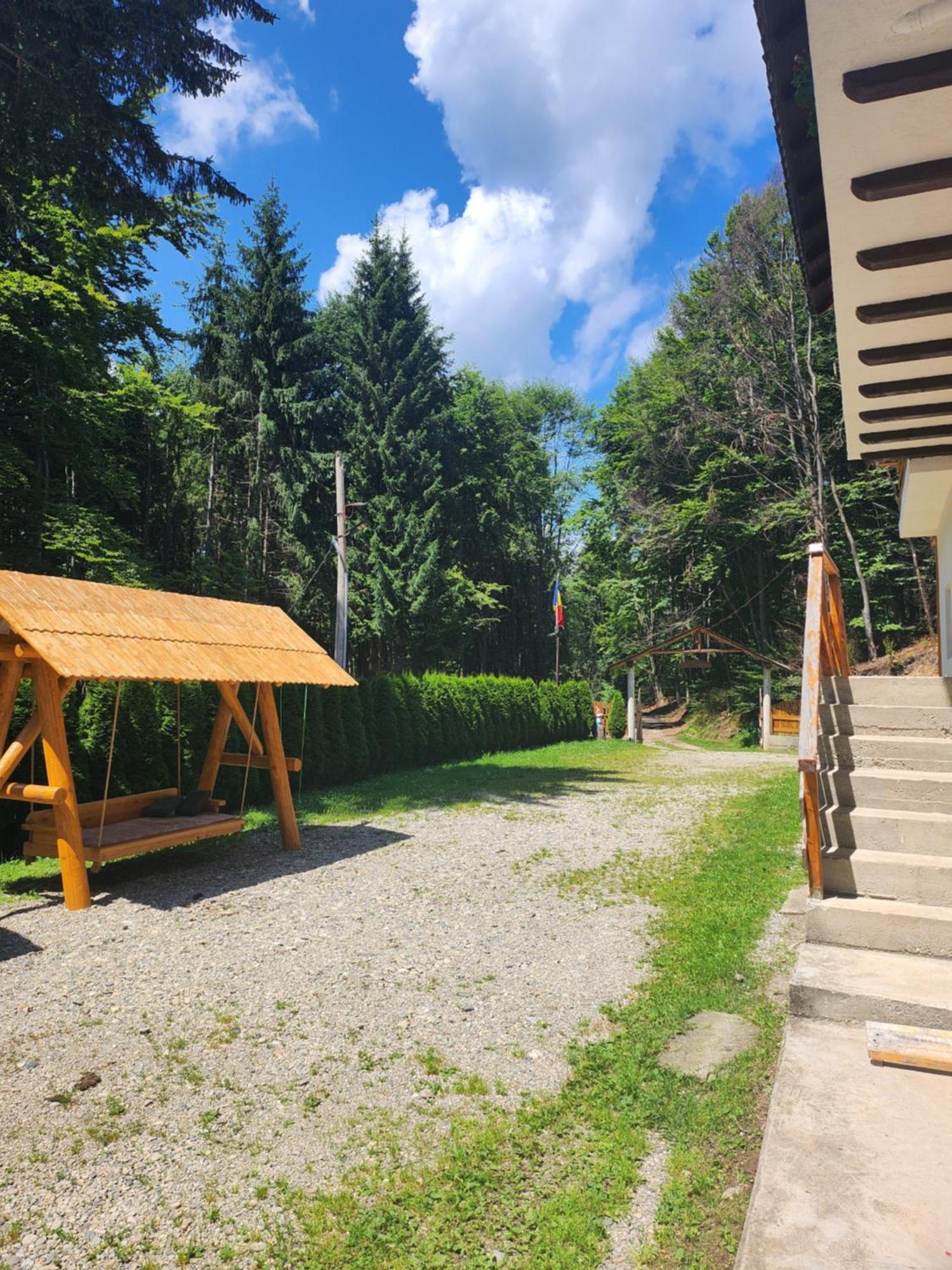 Cabana Valea Bradului Nucşoara Extérieur photo