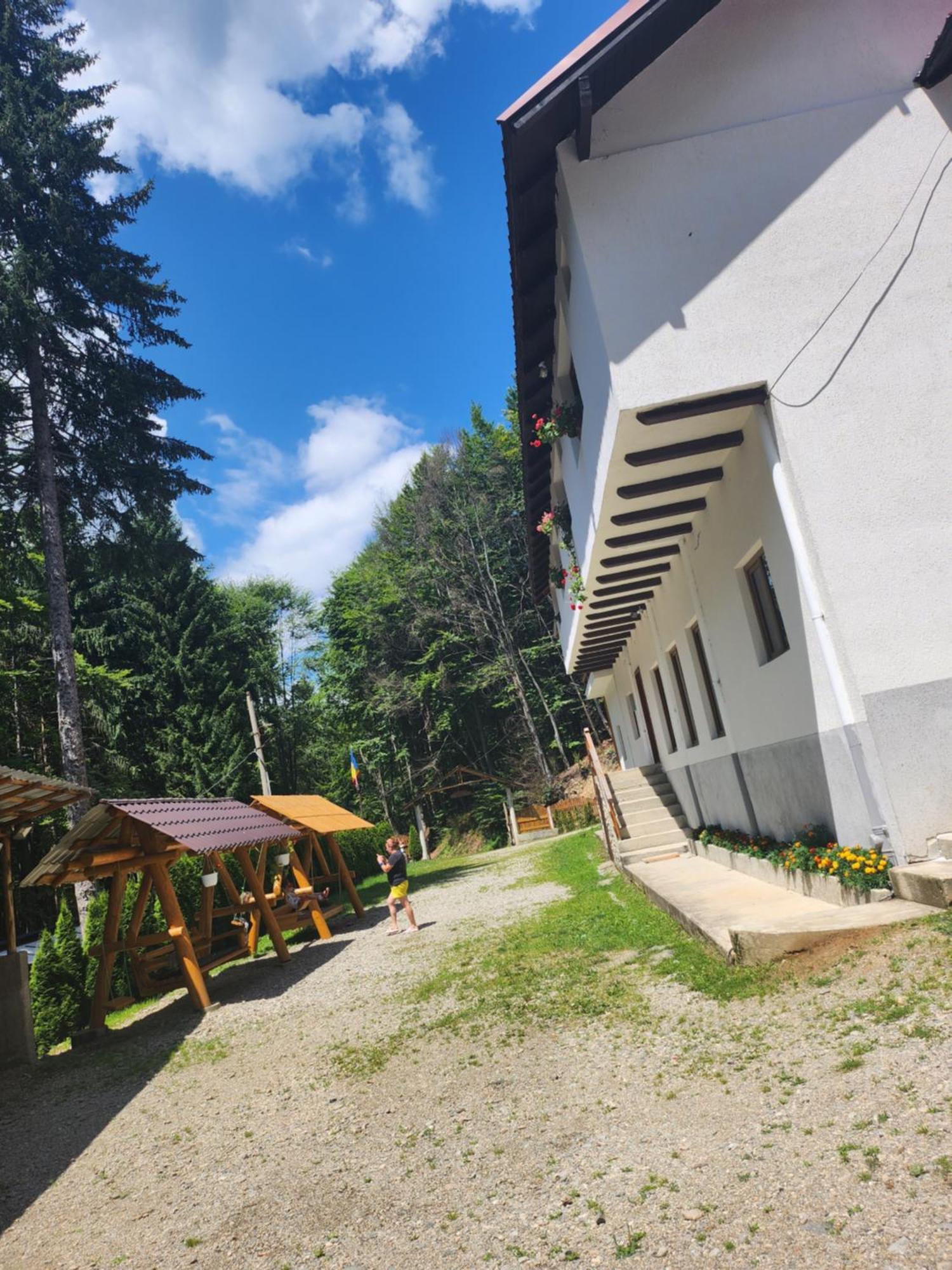 Cabana Valea Bradului Nucşoara Extérieur photo