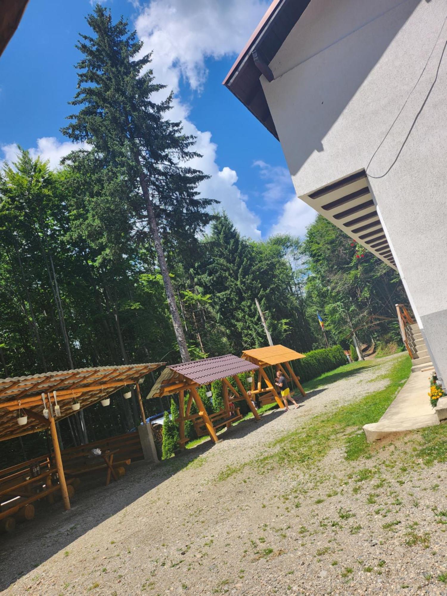 Cabana Valea Bradului Nucşoara Extérieur photo